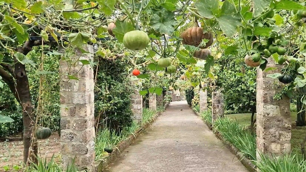 Photo of Outdoor in Sant'Agnello