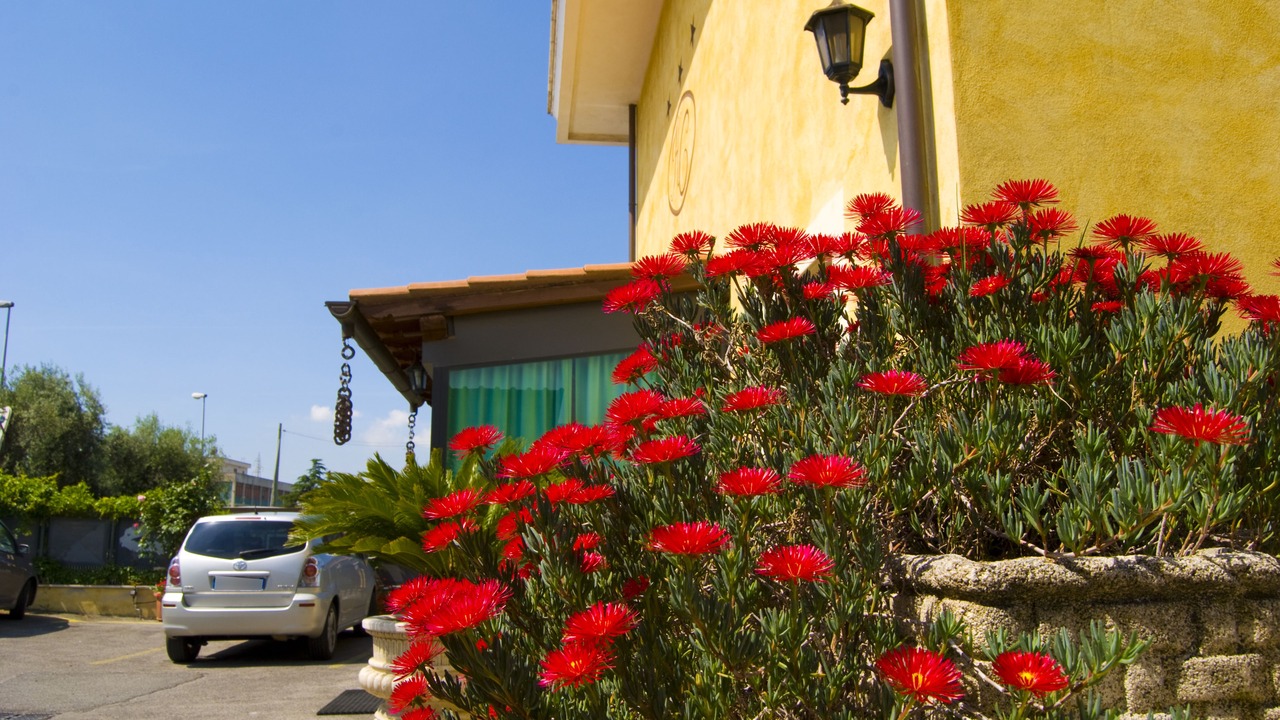 Photo of Outdoor in Ariccia
