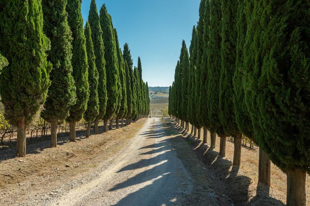 Photo of Outdoor in Manciano
