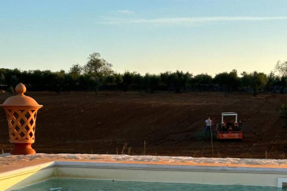 Photo of Outdoor in Noci