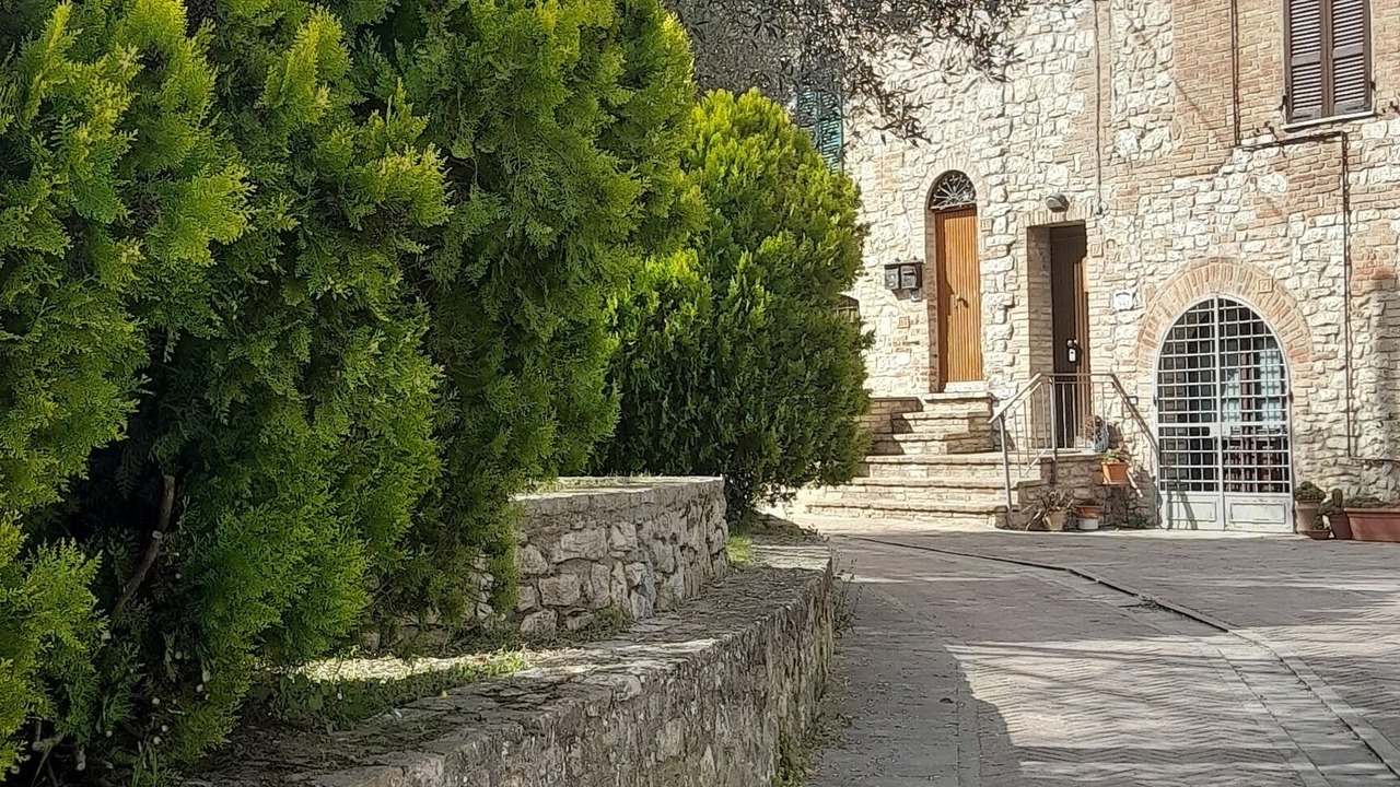 Photo of Outdoor in Collesanto