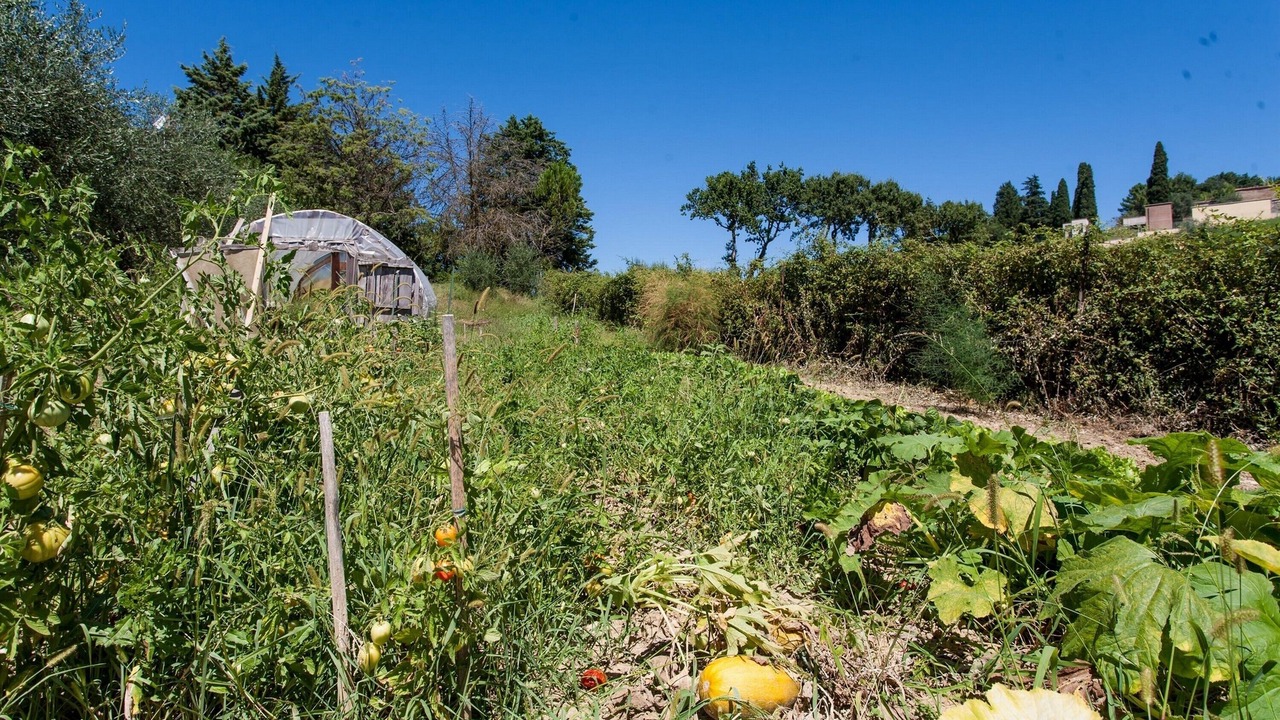 Photo of Outdoor in Ramazzano
