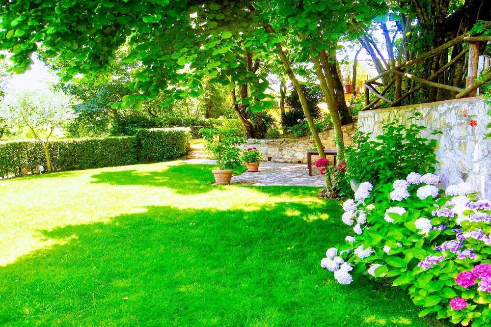 Photo of Outdoor in Strettura