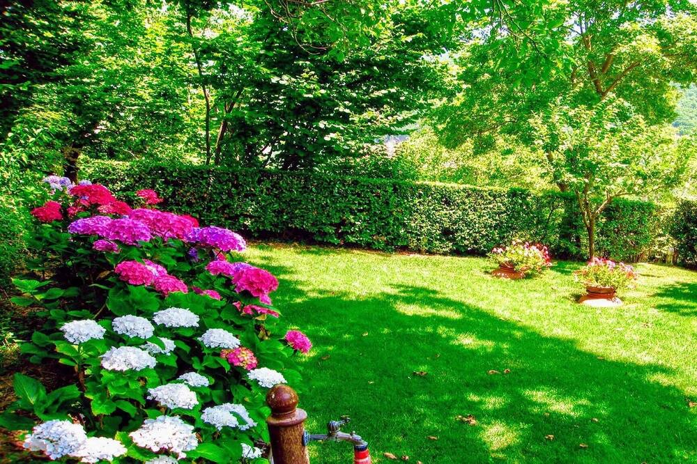Photo of Outdoor in Strettura