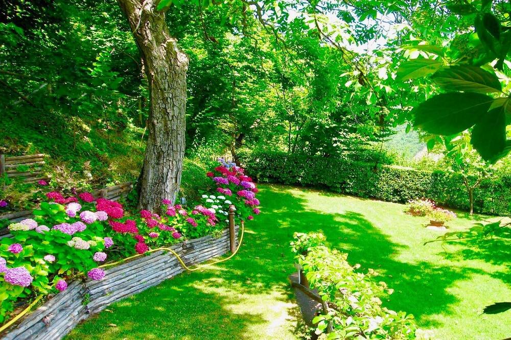 Photo of Outdoor in Strettura
