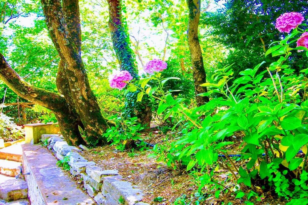 Photo of Outdoor in Strettura