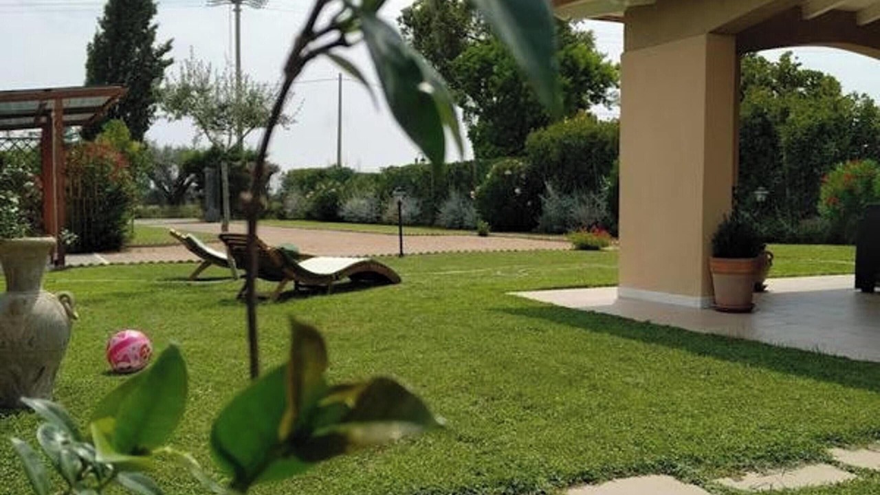 Photo of Outdoor in Pescia Romana
