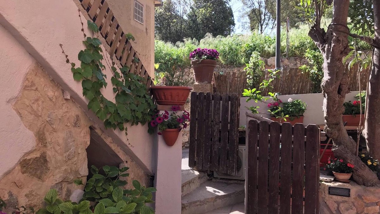 Photo of Outdoor in Talamone