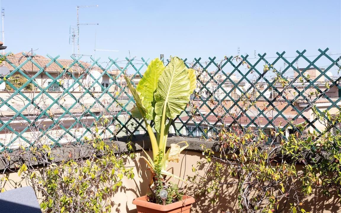 Photo of Outdoor in Quartiere XVII Trieste