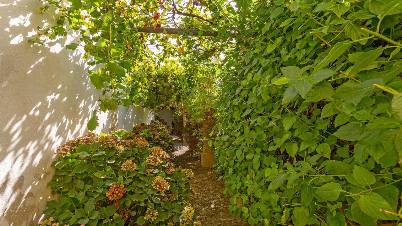 Photo of Outdoor in Acquarica del Capo