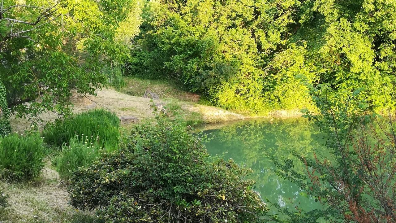 Photo of Outdoor in Lidarno