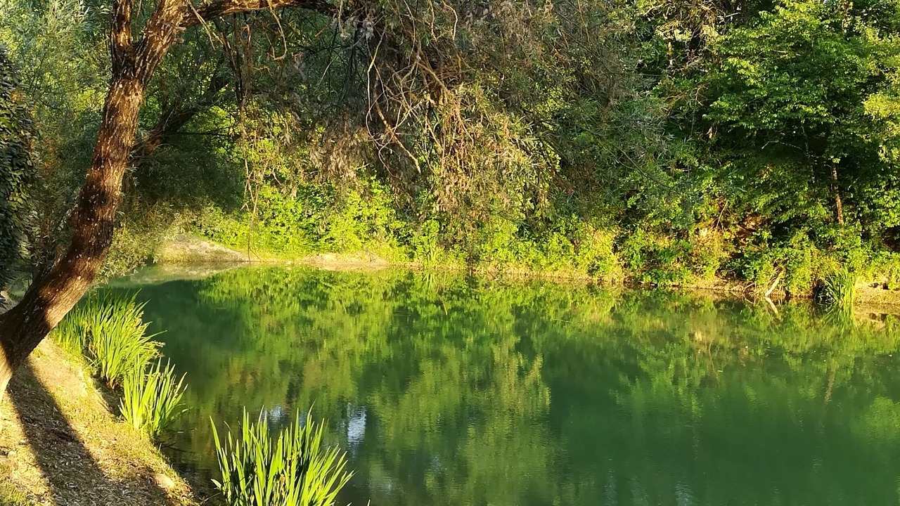 Photo of Outdoor in Lidarno