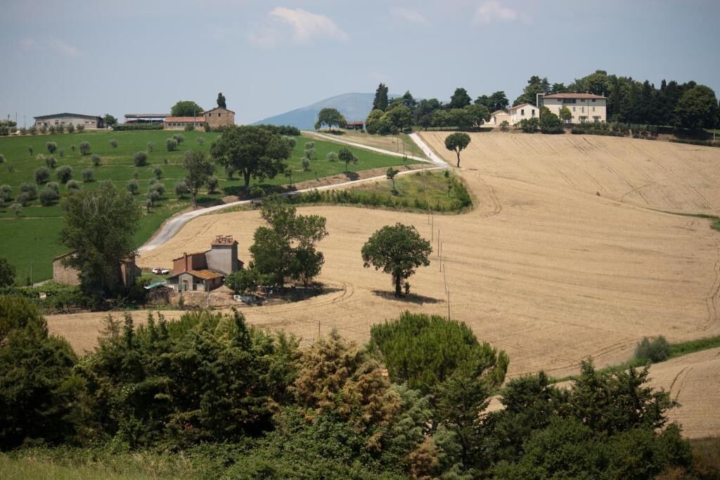 Photo of Outdoor in Lidarno
