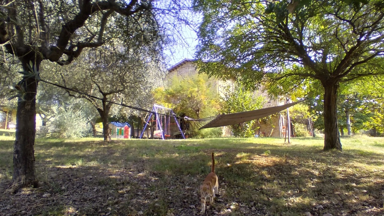 Photo of Outdoor in Lidarno