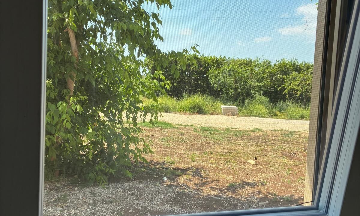 Photo of Outdoor in Pontinia