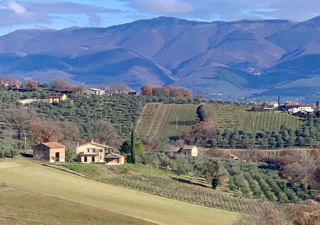 Photo of Outdoor in Montefalco