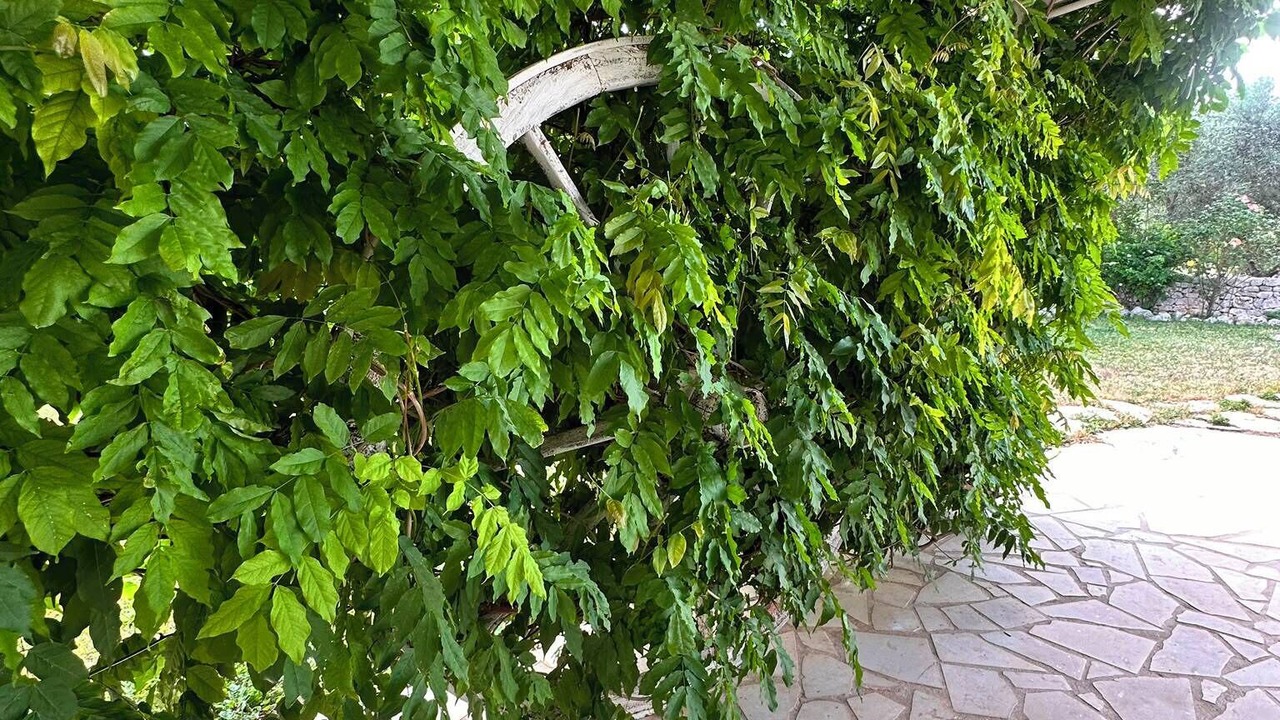 Photo of Outdoor in Castellana Grotte