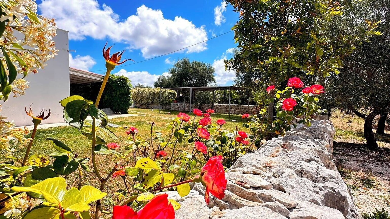 Photo of Outdoor in Castellana Grotte