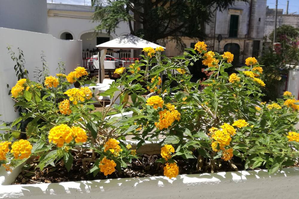 Photo of Outdoor in Poggiardo