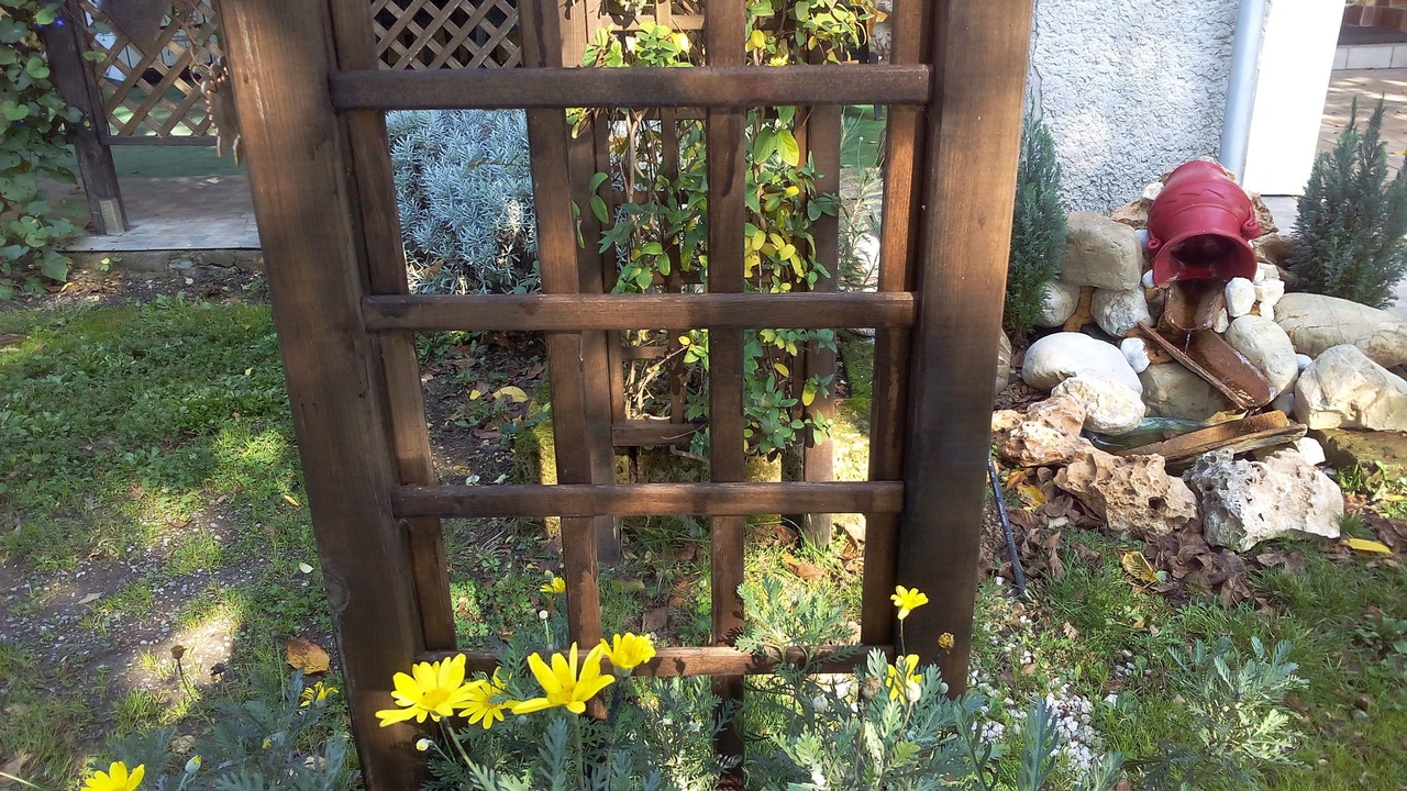 Photo of Outdoor in Castel Giorgio