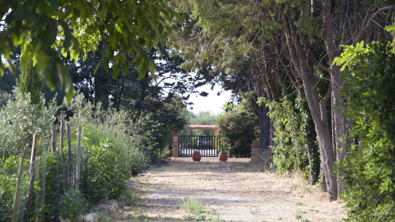 Photo of Outdoor in Alberese