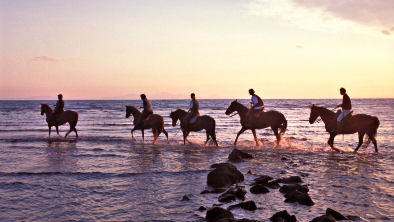 Photo of Outdoor in Alberese