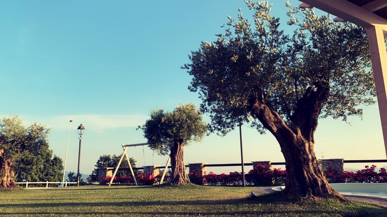 Photo of Outdoor in Castel San Pietro Romano