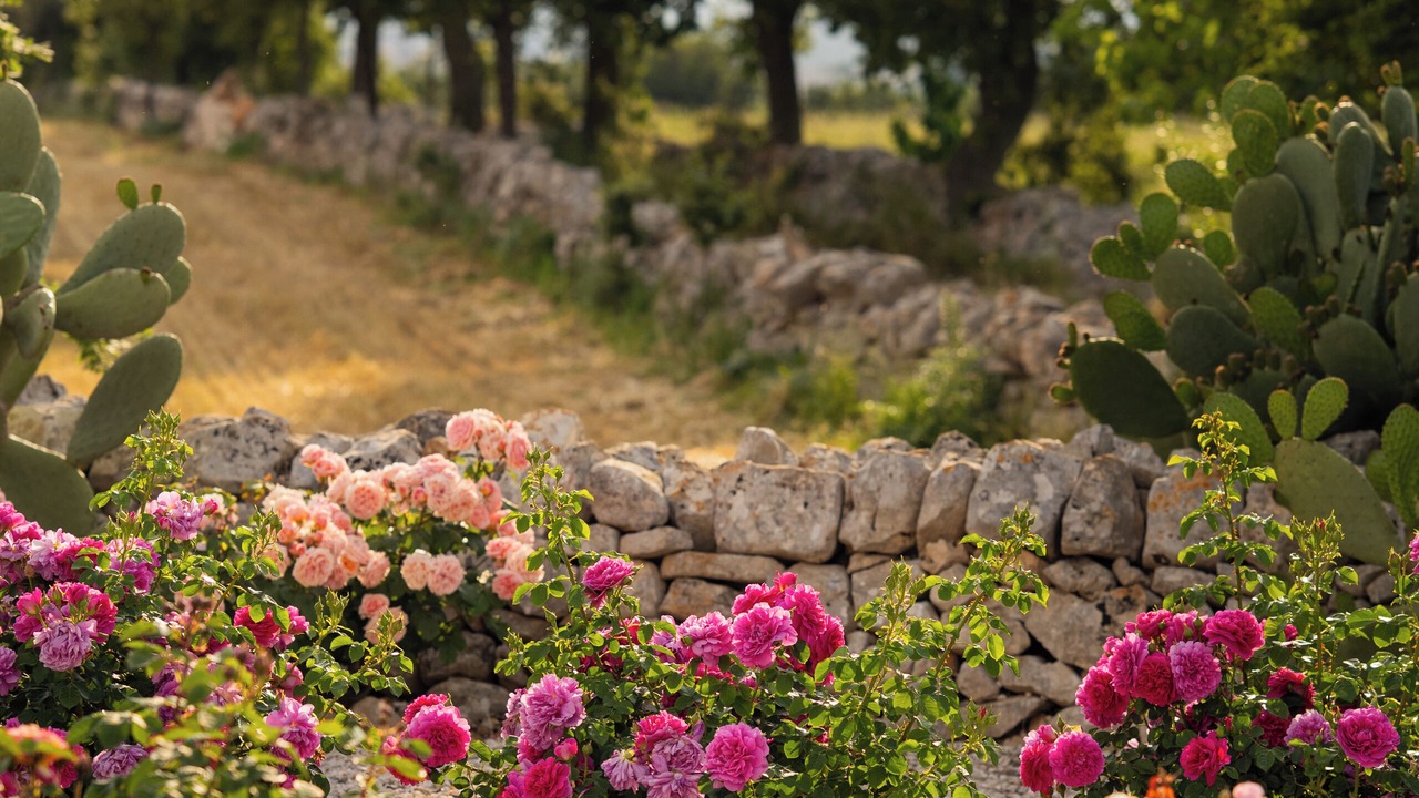 Photo of Outdoor in L'Assunta