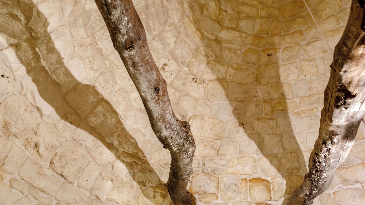 Photo of Bedroom in L'Assunta