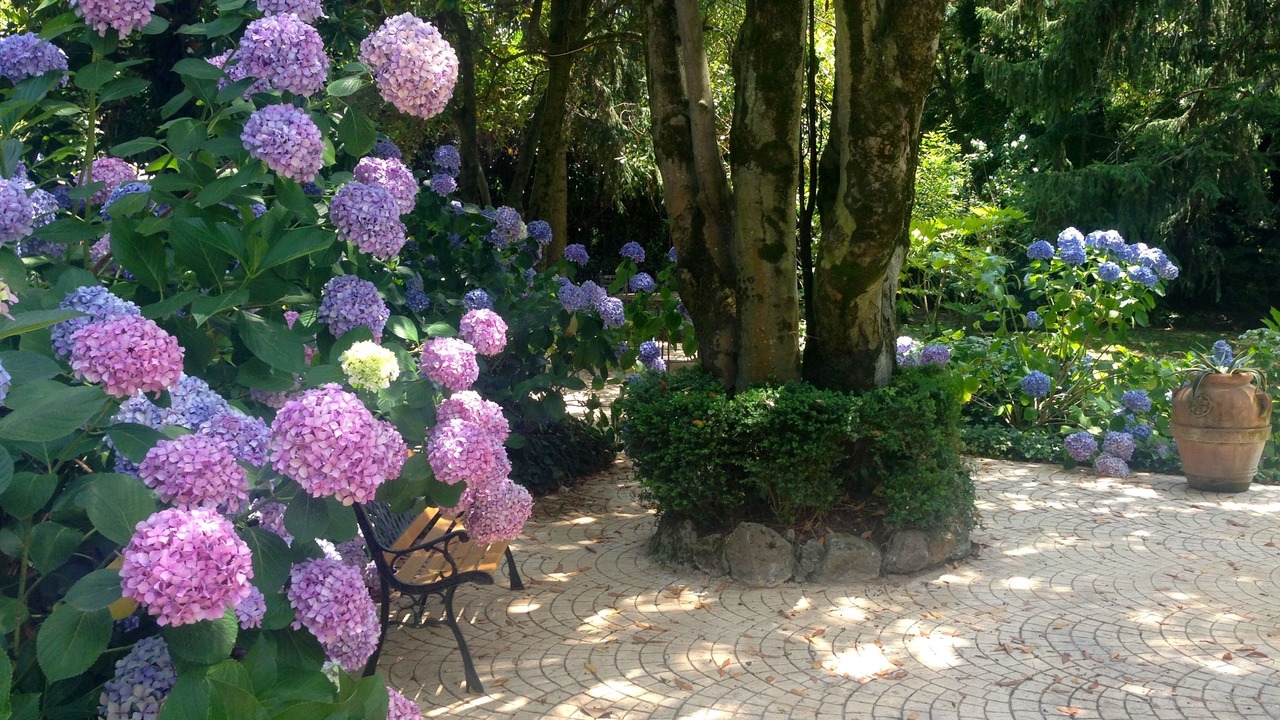 Photo of Outdoor in Grottaferrata