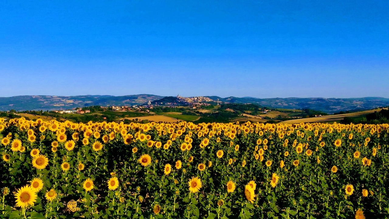 Photo of Outdoor in Collevalenza