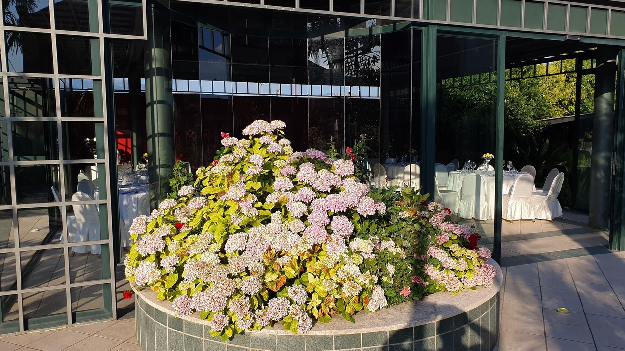 Photo of Outdoor in Cassino
