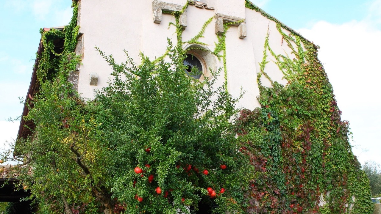 Photo of Outdoor in Vignanello