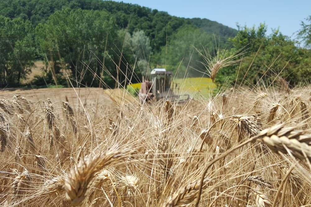 Photo of Outdoor in Magliano Sabina