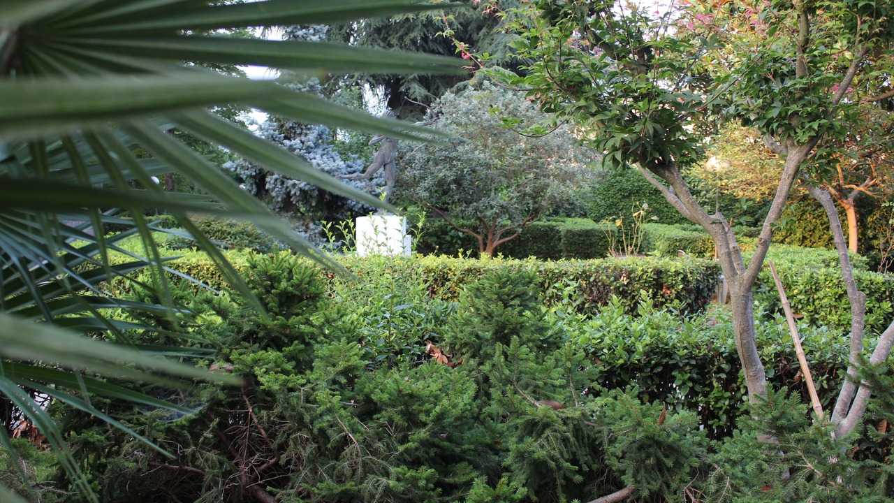 Photo of Outdoor in Cassino