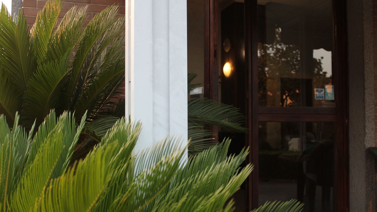 Photo of Outdoor in Cassino