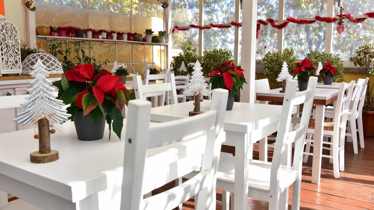 Photo of Patio Balcony in Vatican