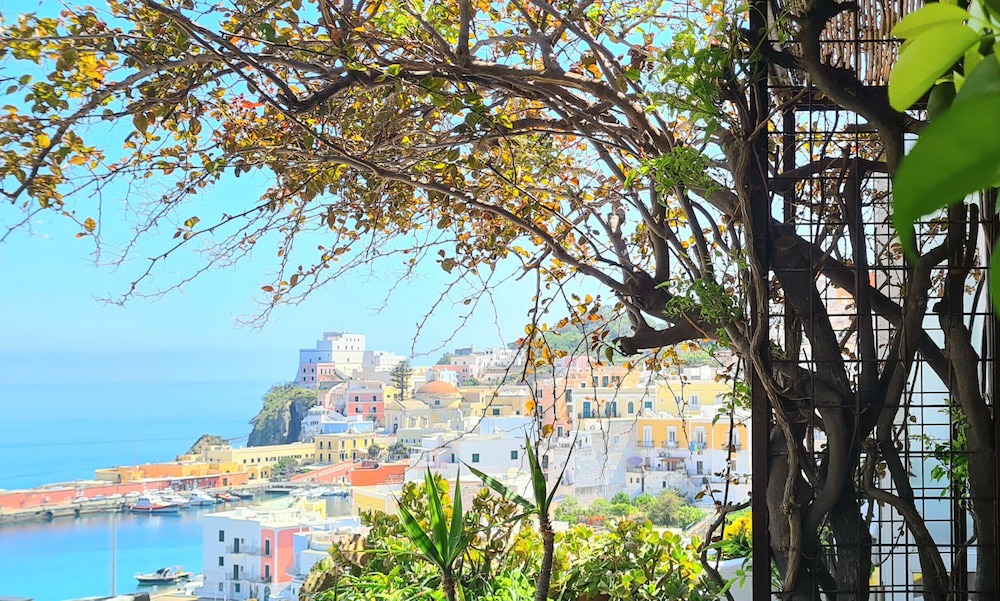 Photo of Others in Ponza