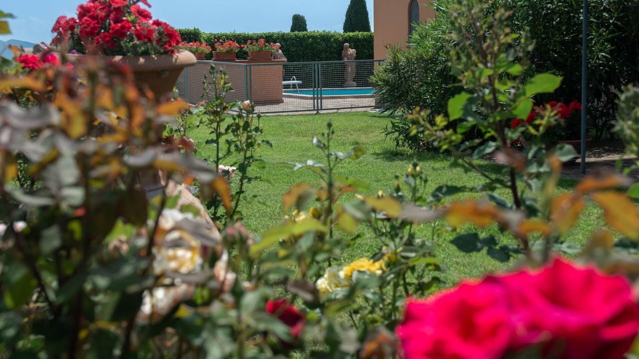 Photo of Others in Castiglione del Lago