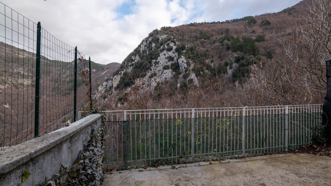 Photo of Others in Polino