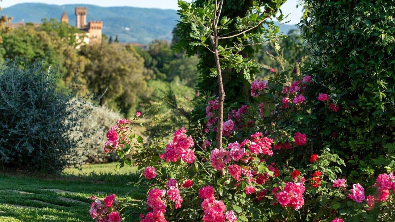 Photo of Outdoor in Bolgheri