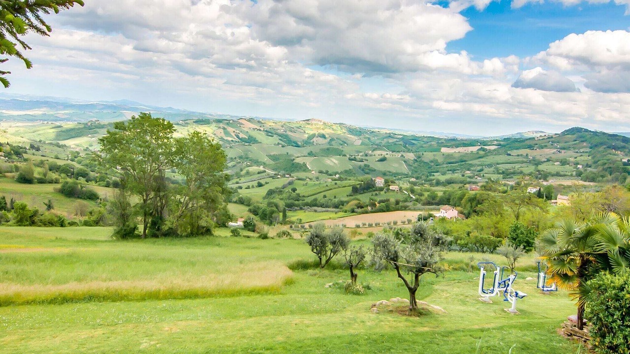 Photo of Others in Cupramontana
