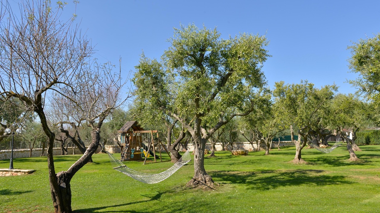 Photo of Outdoor in Martina Franca