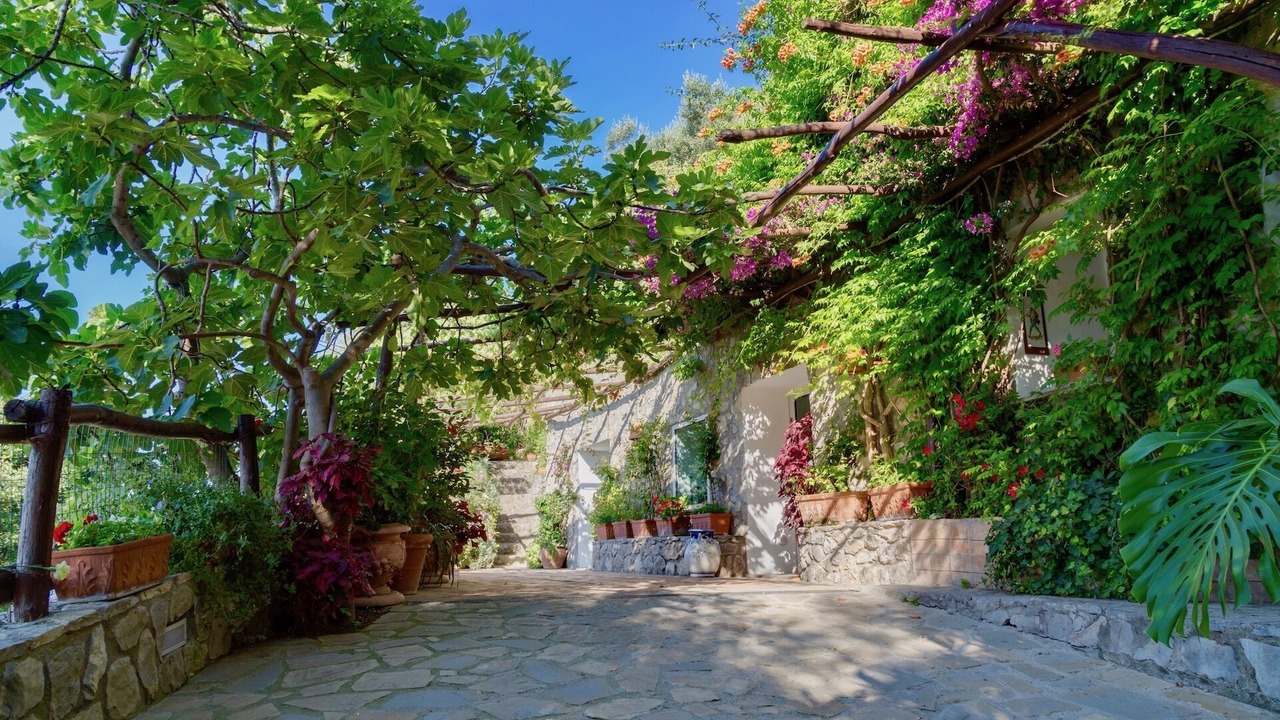 Photo of Outdoor in Vico Equense
