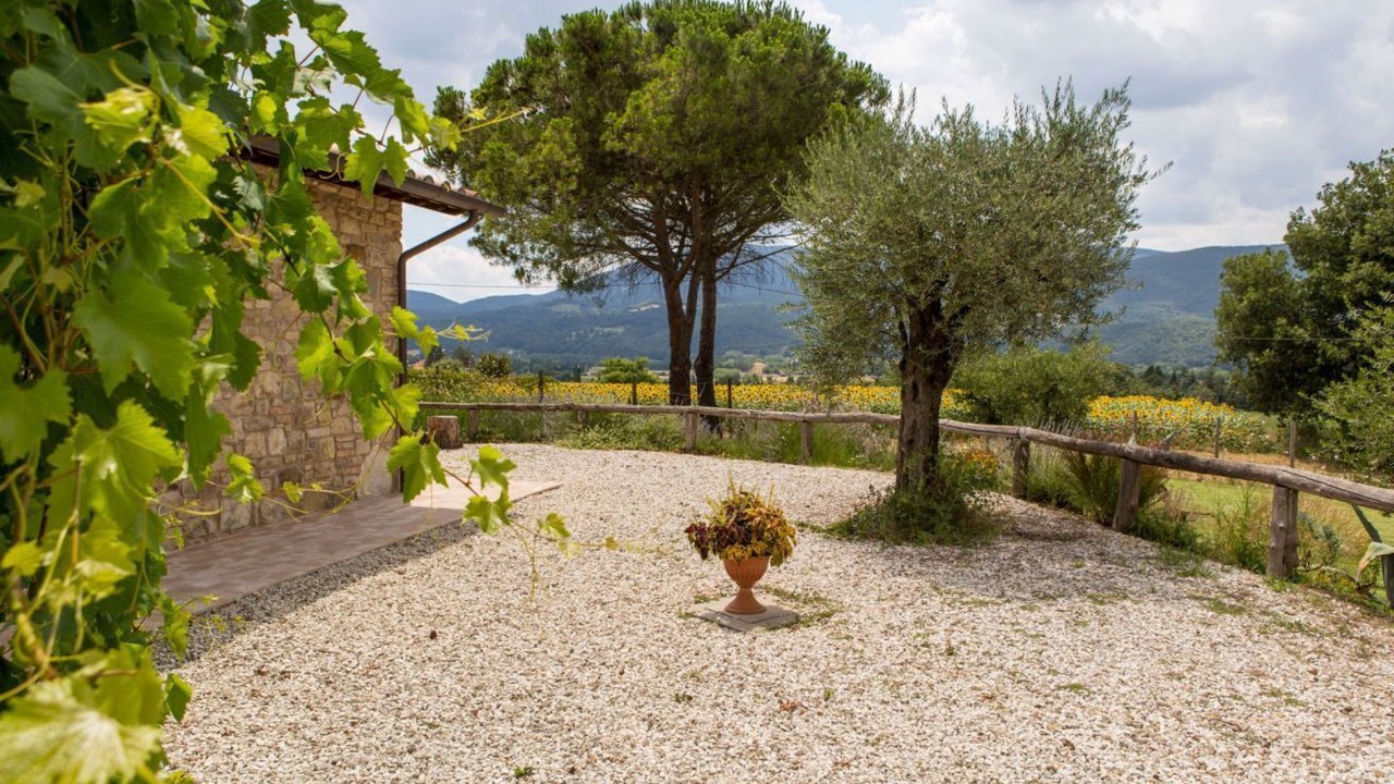 Photo of Outdoor in Montelaguardia