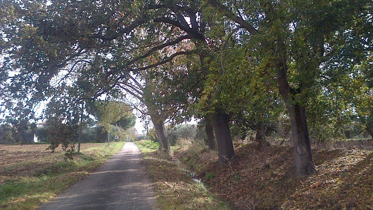 Photo of Outdoor in Orbetello