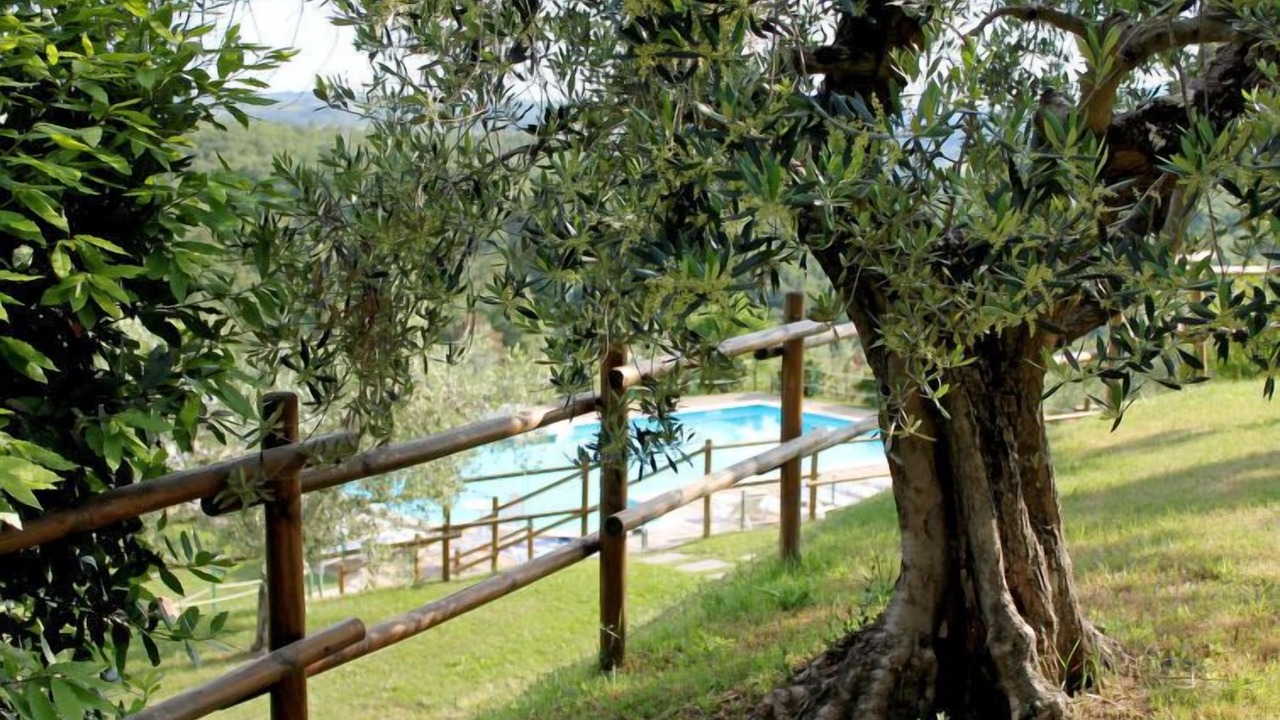 Photo of Others in Po' Bandino