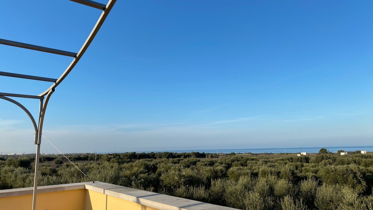 Photo of Outdoor in Montalbano