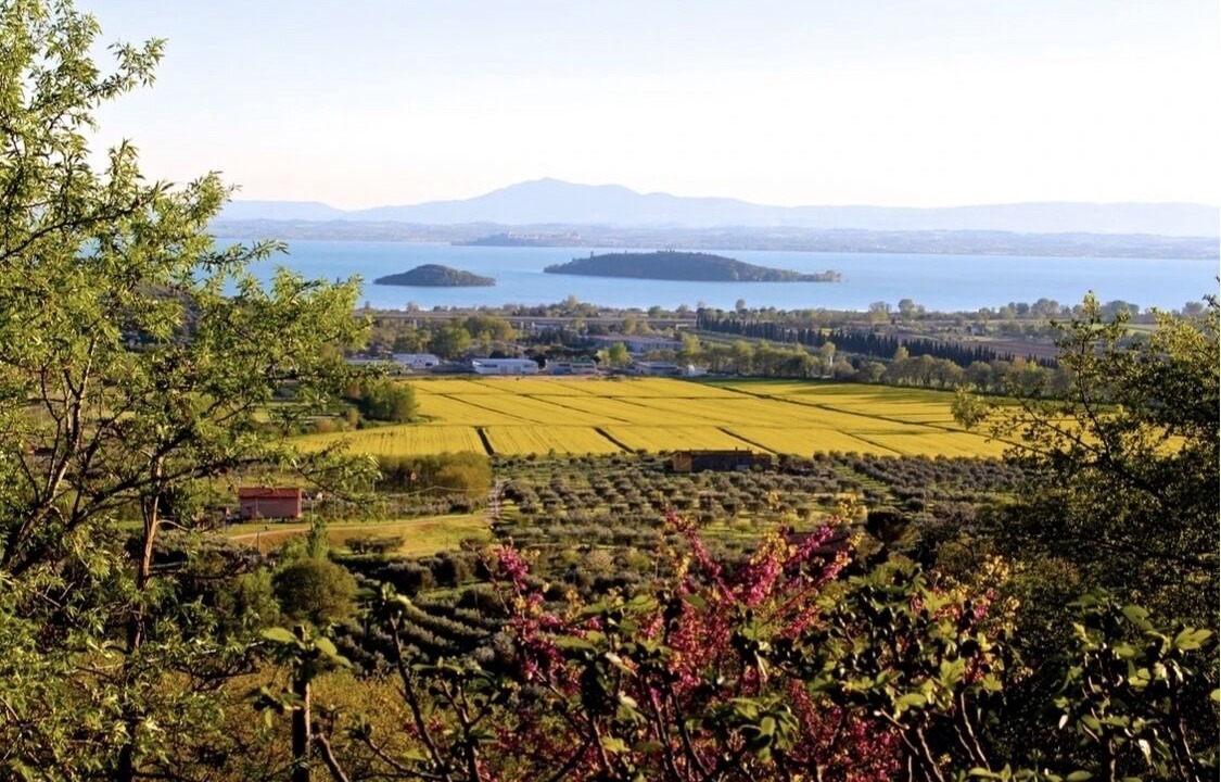 Photo of Others in Passignano sul Trasimeno