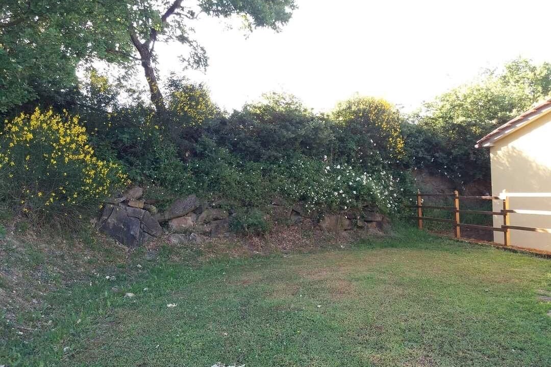 Photo of Outdoor in Elmo